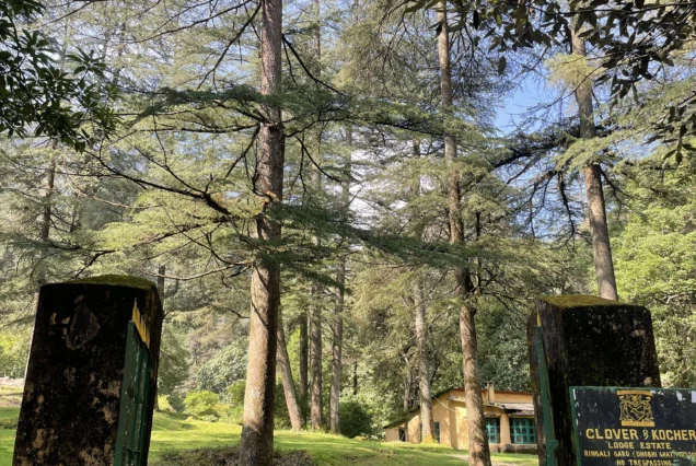 Mussoorie Benog Tibba Trek Package