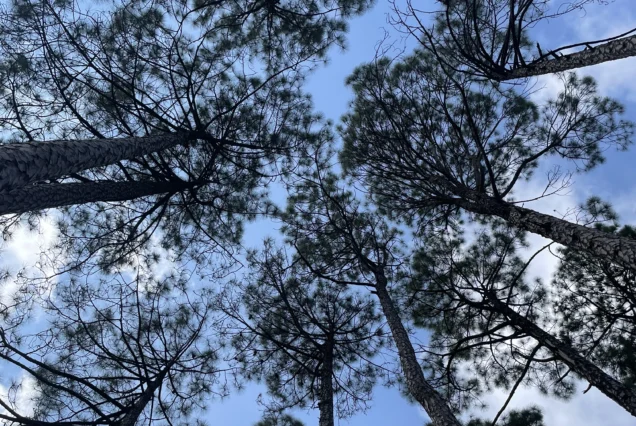 Mussoorie Jodi Village Trip Package