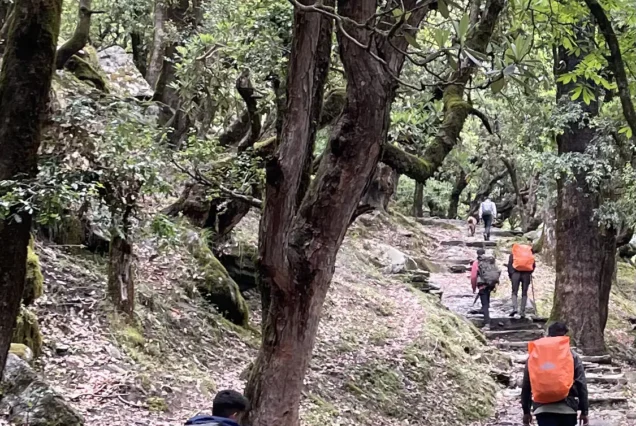 Dayara Bugyal Trek Package